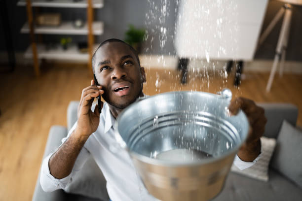 Best Water damage contractors near me  in Edgerton, WI
