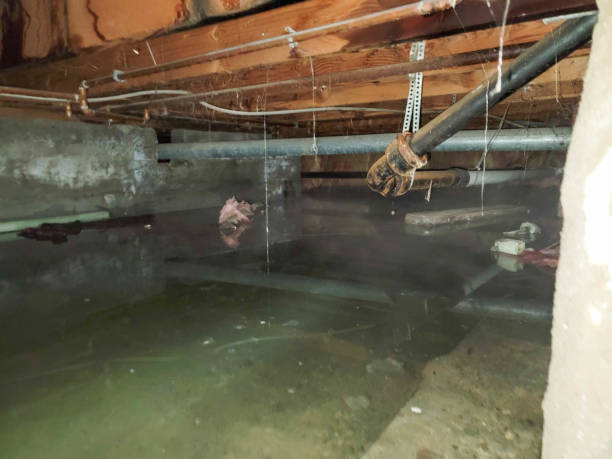 Best Residential water damage restoration  in Edgerton, WI