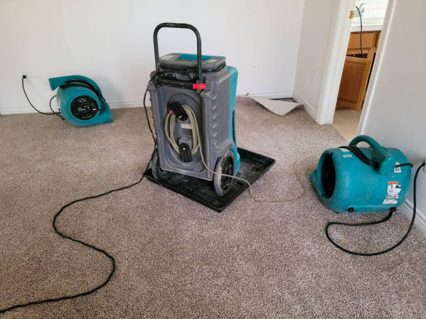 Best Basement water damage restoration  in Edgerton, WI