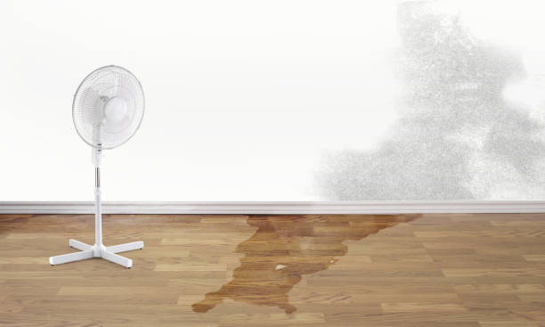 Best Emergency water damage restoration  in Edgerton, WI