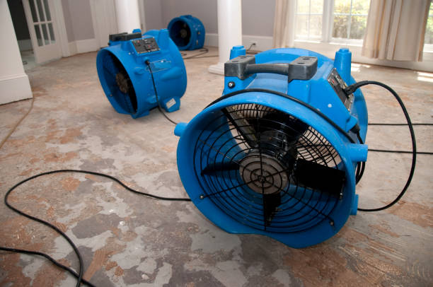 Best Mold removal after water damage  in Edgerton, WI
