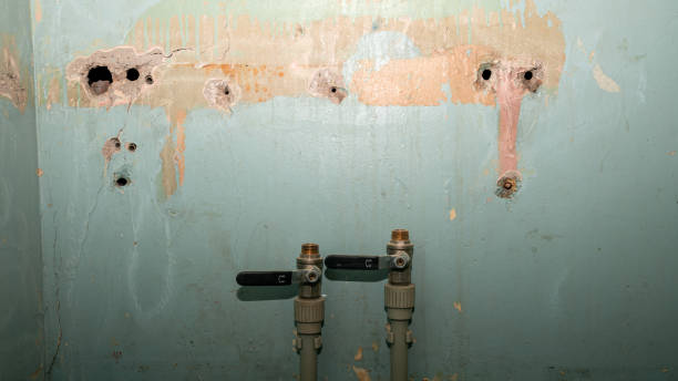 Best Water damage cleanup near me  in Edgerton, WI