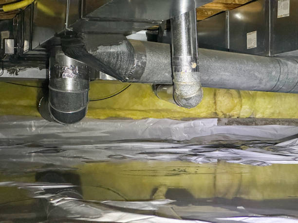Best Flood damage cleanup  in Edgerton, WI