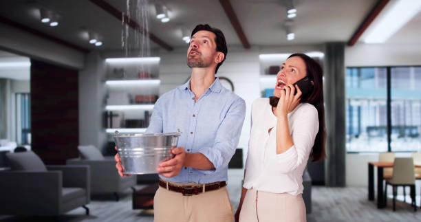 Best Professional water damage repair  in Edgerton, WI