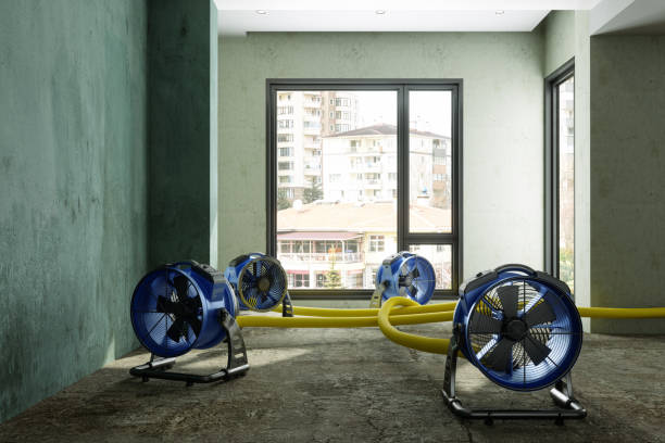 Best Flood restoration services  in Edgerton, WI